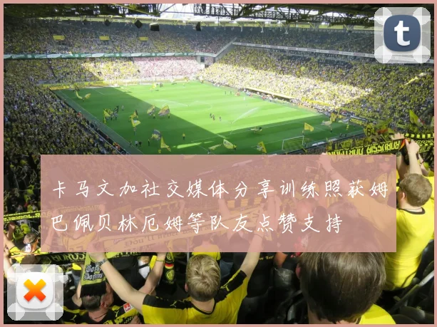 卡马文加社交媒体分享训练照获姆巴佩贝林厄姆等队友点赞支持
